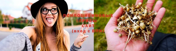 эйфоретик Горнозаводск